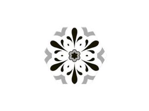 ZP VERSALLES black deco 20*24