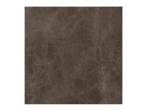 PP ACRA dark shine 60*60