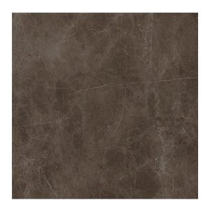 PP ACRA dark shine 60*60