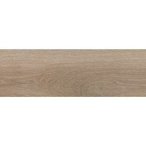 PP RAINforest taupe 20*60