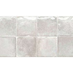 ZP TERRA ice 30*60
