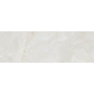 ZP HOJAS onix DECOR 25*75