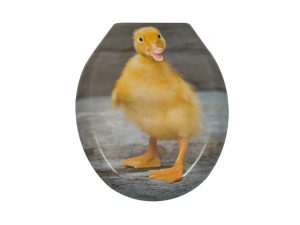 daska DUCKLING S1 7748