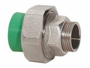 holender 40 sn