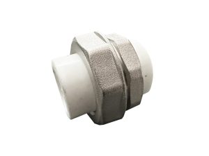 holender 25 PP