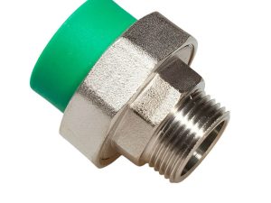 holender 32 sn
