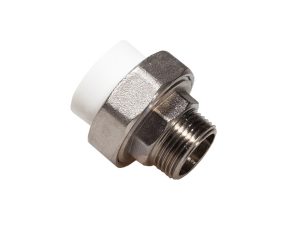 holender 25 sn