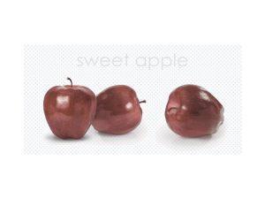 ZP DAPHNE grey apple decor 25*50