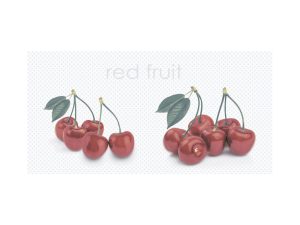 ZP DAPHNE grey chery decor 25*50