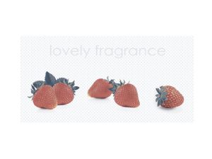 ZP DAPHNE grey strawbery decor 25*50