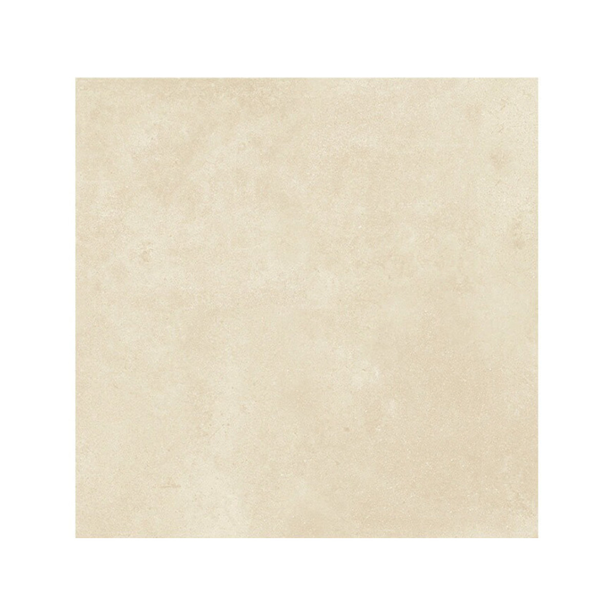 PP COLLEGE almond 61*61