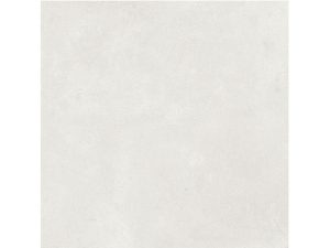 PP COLLEGE cotton 60*60