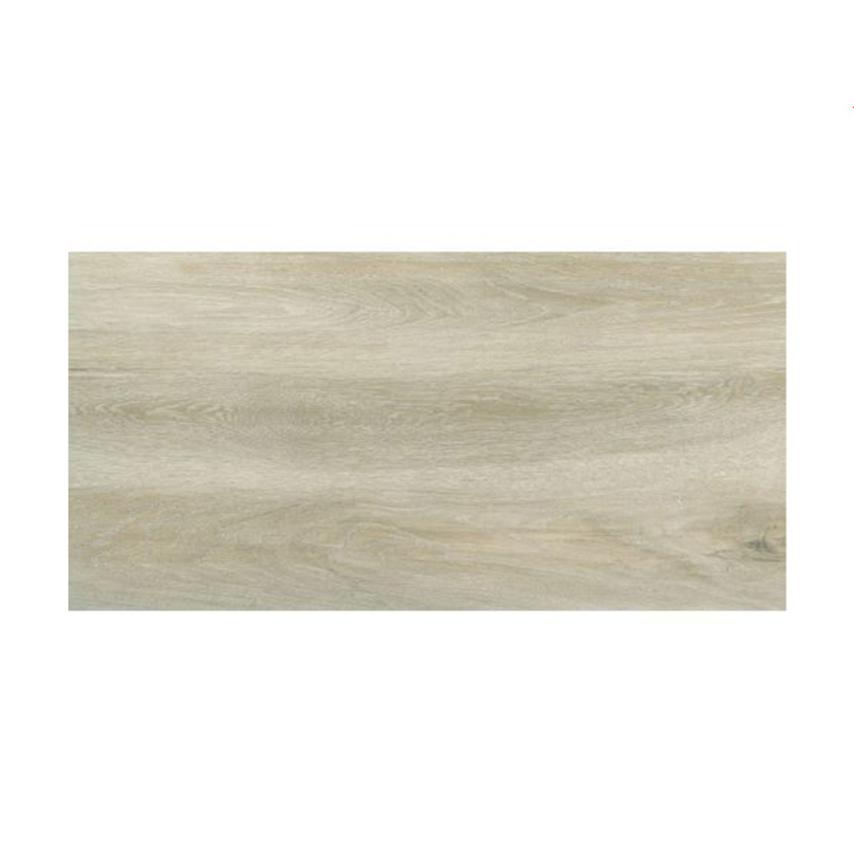 PP FOREST birch 30*60