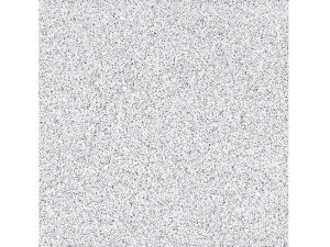 PP PUBLIC salt 33*33