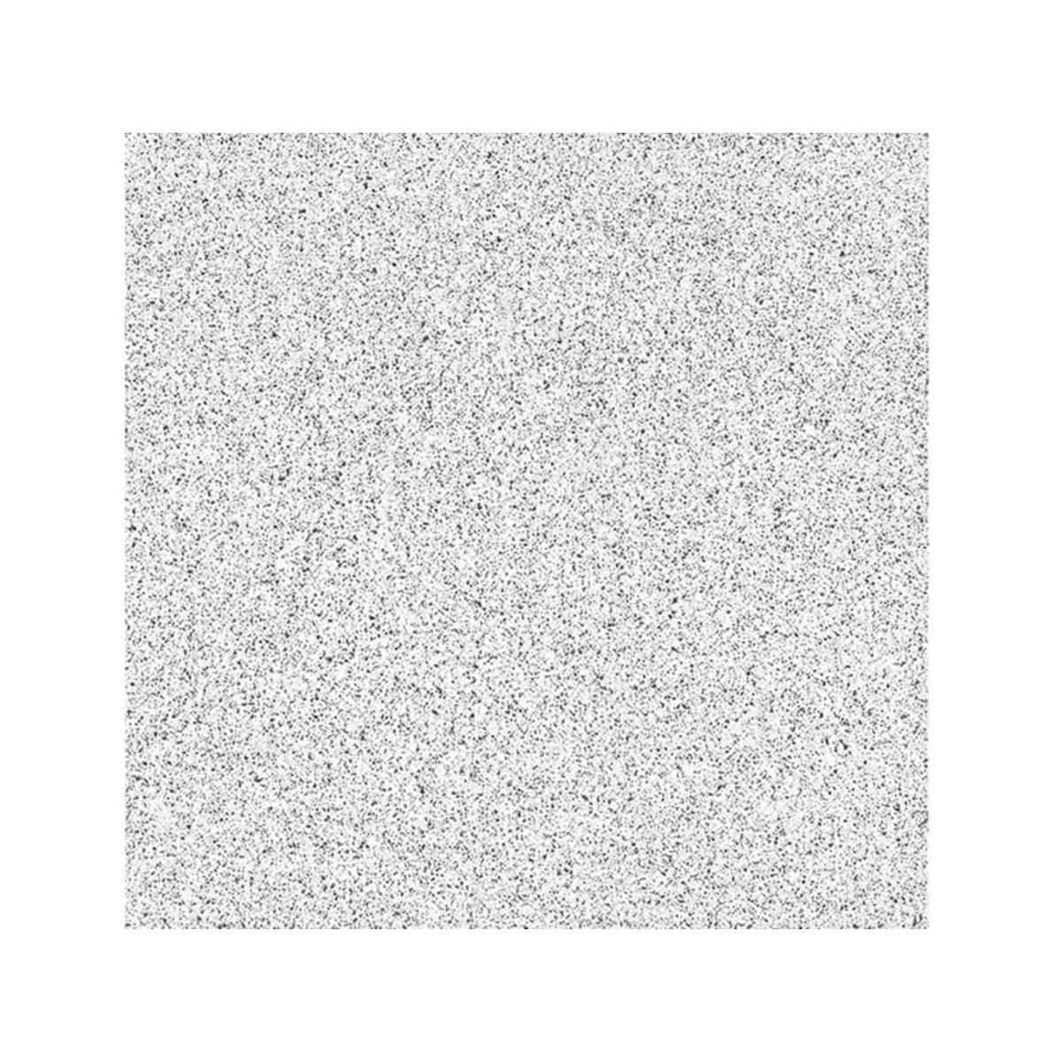 PP PUBLIC salt 33*33