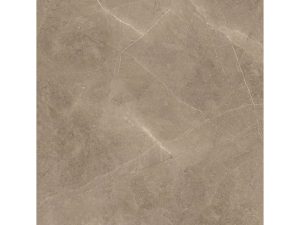 PP ELEGANT taupe 60*60