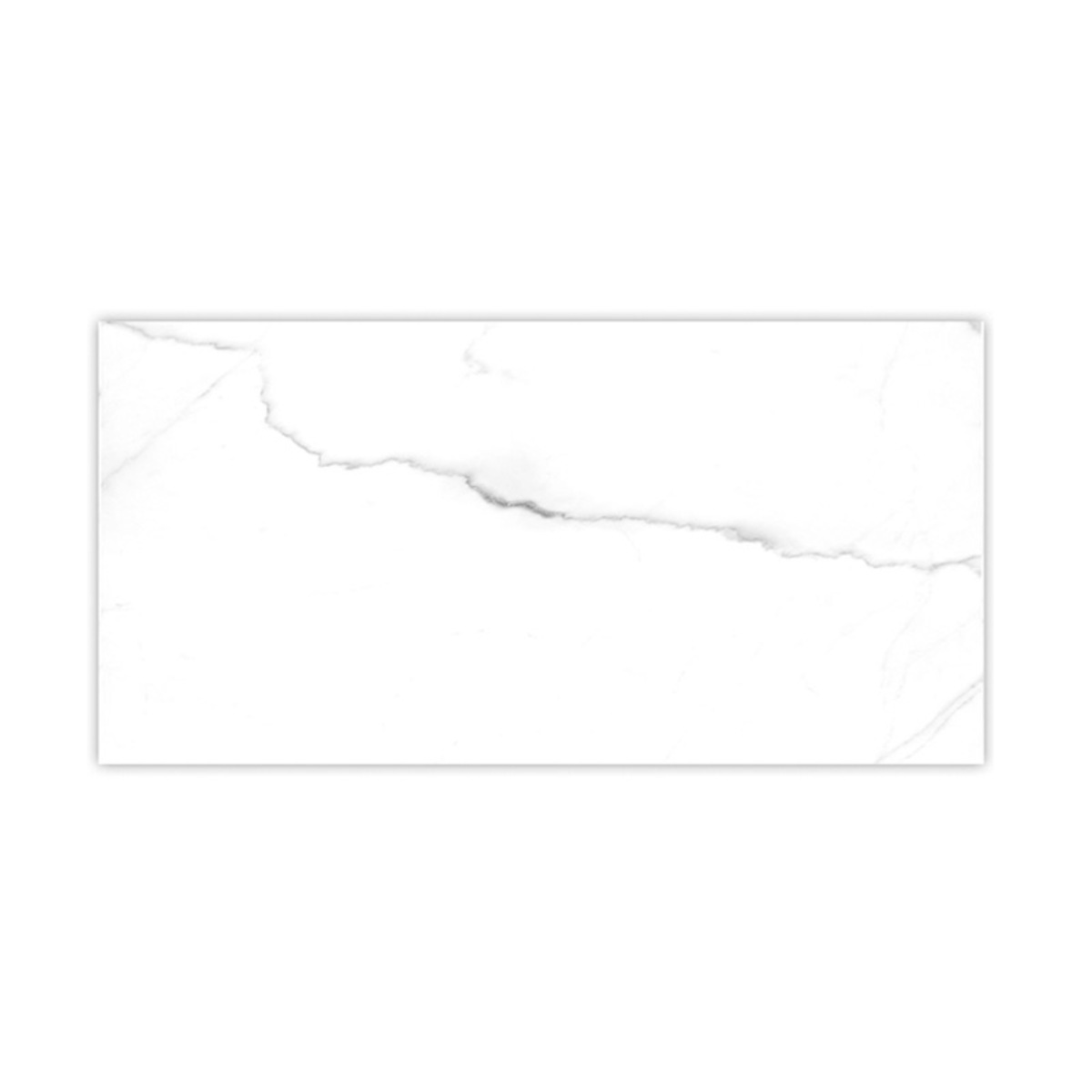 ZP CARRARA white 25*50